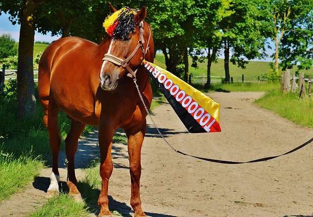 西班牙人队的崛起：从保级到欧洲梦想