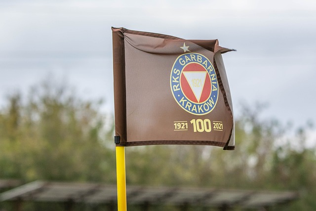 球迷：请继续给我这样的比赛！